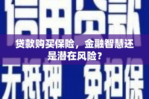 佛坪贷款购买保险，金融智慧还是潜在风险？