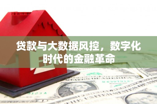 佛坪贷款与大数据风控，数字化时代的金融革命