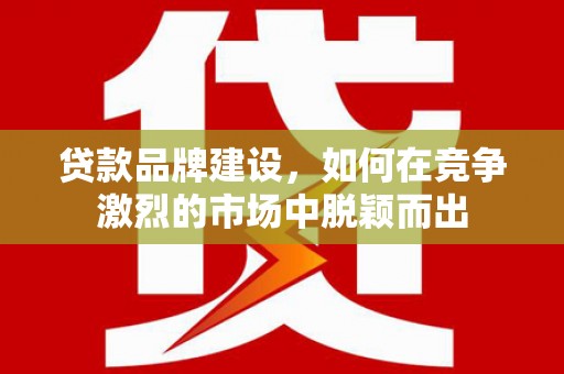 佛坪贷款品牌建设，如何在竞争激烈的市场中脱颖而出