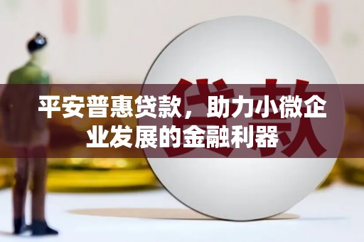 佛坪平安普惠贷款，助力小微企业发展的金融利器