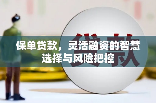佛坪保单贷款，灵活融资的智慧选择与风险把控