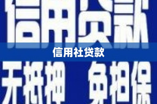 佛坪信用社贷款