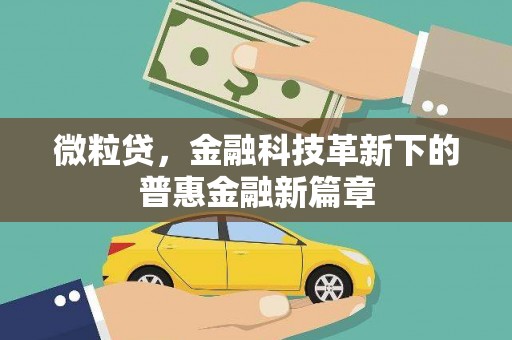 佛坪微粒贷，金融科技革新下的普惠金融新篇章