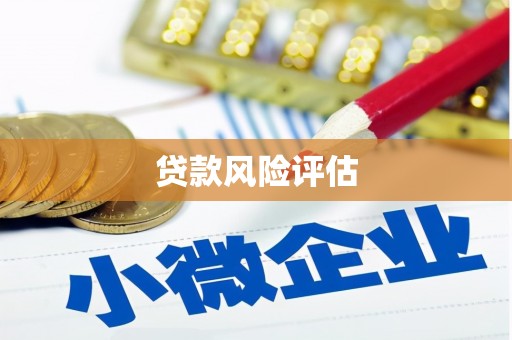 佛坪贷款风险评估