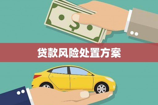 佛坪贷款风险处置方案