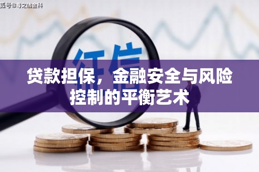 佛坪贷款担保，金融安全与风险控制的平衡艺术