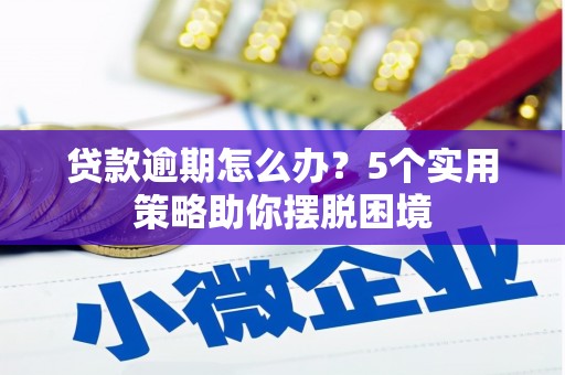 佛坪贷款逾期怎么办？5个实用策略助你摆脱困境
