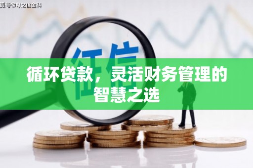佛坪循环贷款，灵活财务管理的智慧之选