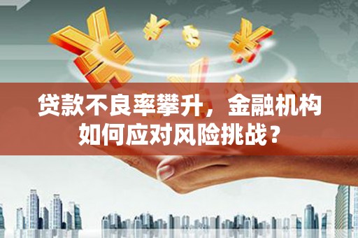 佛坪贷款不良率攀升，金融机构如何应对风险挑战？
