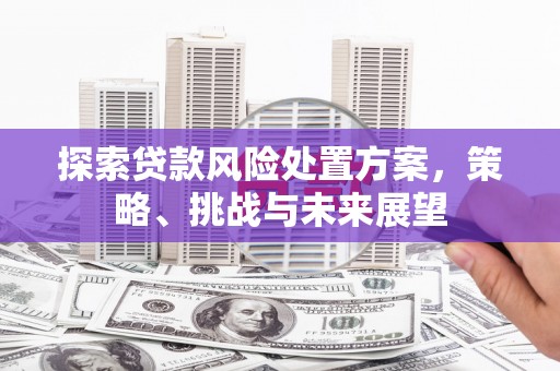 佛坪探索贷款风险处置方案，策略、挑战与未来展望