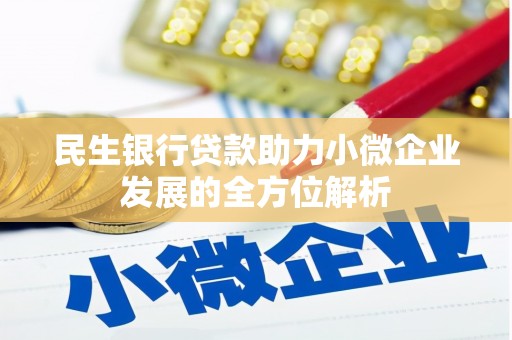 佛坪民生银行贷款助力小微企业发展的全方位解析