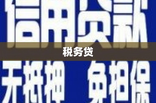 佛坪税务贷
