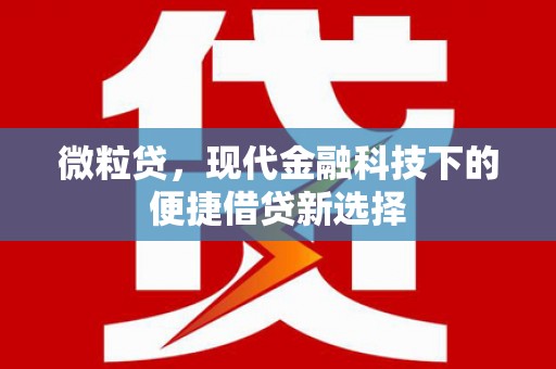 佛坪微粒贷，现代金融科技下的便捷借贷新选择