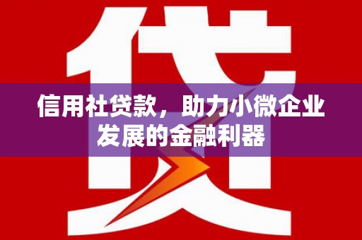 佛坪信用社贷款，助力小微企业发展的金融利器