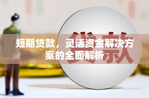 佛坪短期贷款，灵活资金解决方案的全面解析