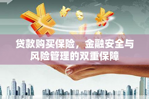 佛坪贷款购买保险，金融安全与风险管理的双重保障