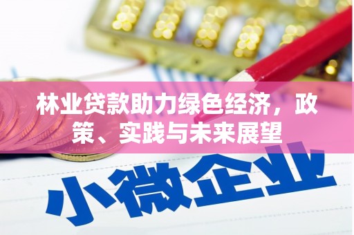 佛坪林业贷款助力绿色经济，政策、实践与未来展望
