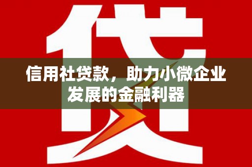 佛坪信用社贷款，助力小微企业发展的金融利器