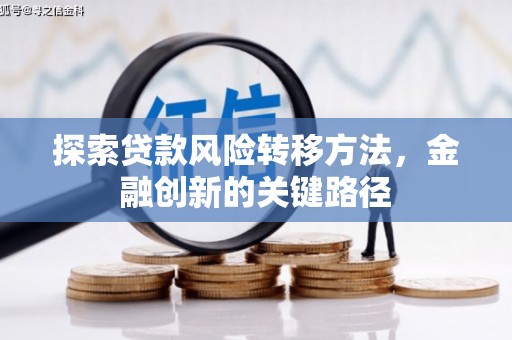 佛坪探索贷款风险转移方法，金融创新的关键路径