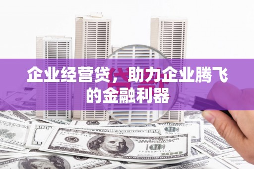 佛坪企业经营贷，助力企业腾飞的金融利器