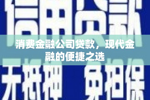 佛坪消费金融公司贷款，现代金融的便捷之选