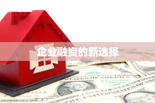 佛坪企业融资的新选择