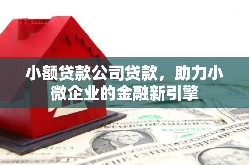 佛坪小额贷款公司贷款，助力小微企业的金融新引擎
