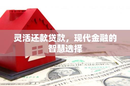 佛坪灵活还款贷款，现代金融的智慧选择