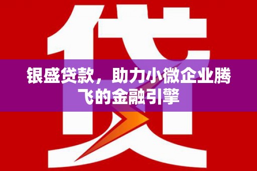佛坪银盛贷款，助力小微企业腾飞的金融引擎