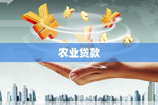 佛坪农业贷款