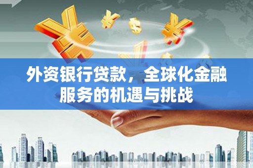 佛坪外资银行贷款，全球化金融服务的机遇与挑战