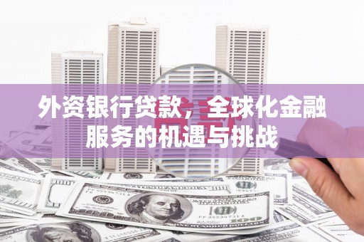 佛坪外资银行贷款，全球化金融服务的机遇与挑战