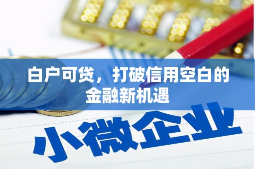 佛坪白户可贷，打破信用空白的金融新机遇