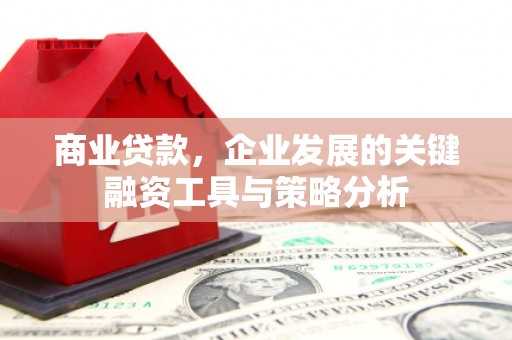 佛坪商业贷款，企业发展的关键融资工具与策略分析