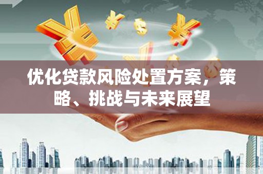 佛坪优化贷款风险处置方案，策略、挑战与未来展望