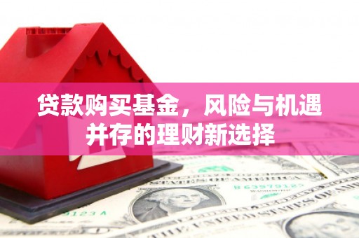 佛坪贷款购买基金，风险与机遇并存的理财新选择