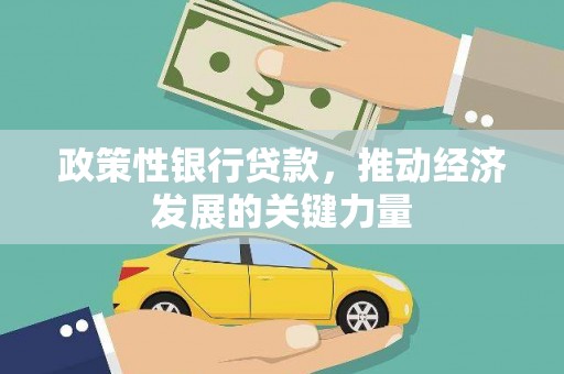 佛坪政策性银行贷款，推动经济发展的关键力量