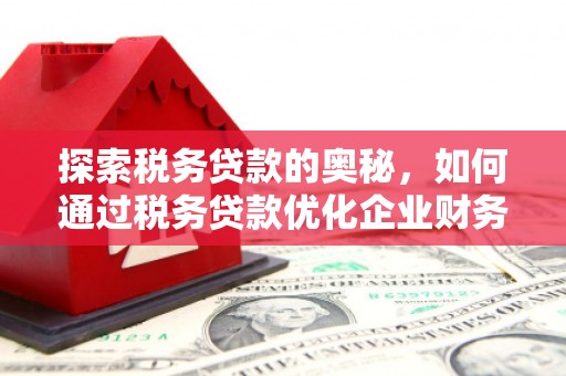 佛坪探索税务贷款的奥秘，如何通过税务贷款优化企业财务