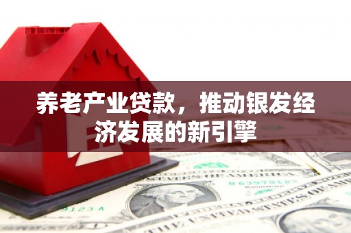 佛坪养老产业贷款，推动银发经济发展的新引擎