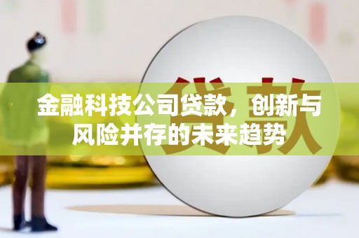 佛坪金融科技公司贷款，创新与风险并存的未来趋势