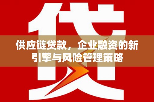 佛坪供应链贷款，企业融资的新引擎与风险管理策略