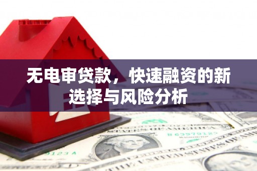 佛坪无电审贷款，快速融资的新选择与风险分析