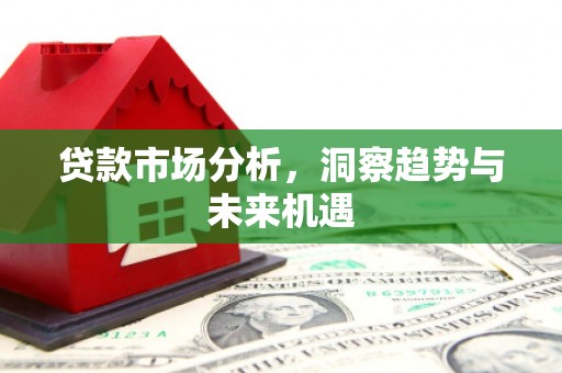 佛坪贷款市场分析，洞察趋势与未来机遇