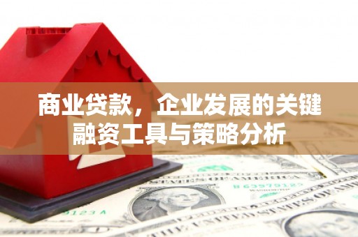 佛坪商业贷款，企业发展的关键融资工具与策略分析