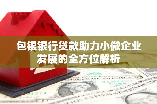 佛坪包银银行贷款助力小微企业发展的全方位解析