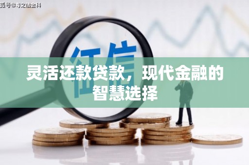 佛坪灵活还款贷款，现代金融的智慧选择