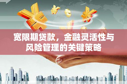 佛坪宽限期贷款，金融灵活性与风险管理的关键策略