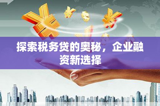 佛坪探索税务贷的奥秘，企业融资新选择