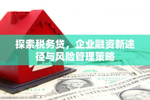 佛坪探索税务贷，企业融资新途径与风险管理策略