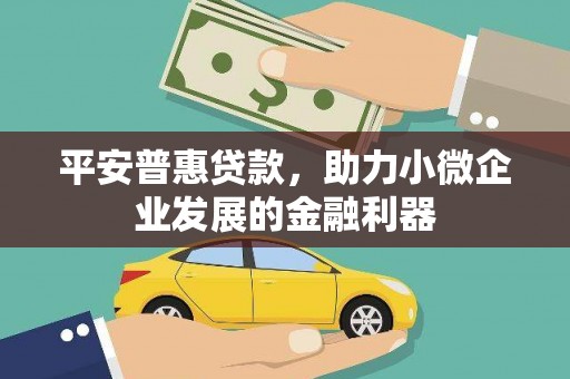 佛坪平安普惠贷款，助力小微企业发展的金融利器